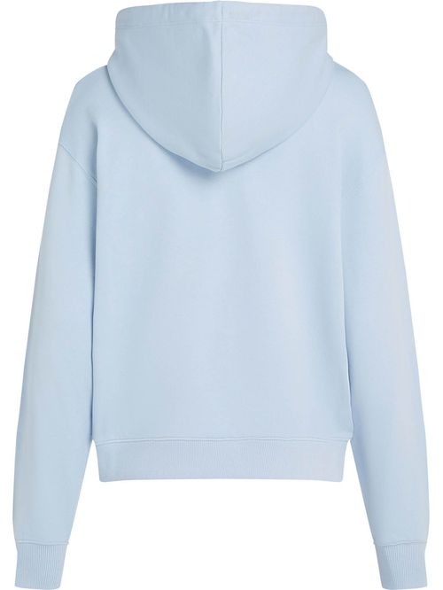 Sweater con hoodie de corte regular