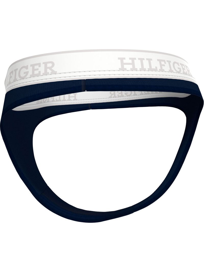 Tanga---monotype-hilfiger-tonal