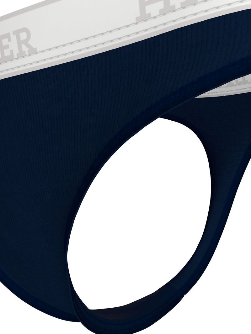 Tanga---monotype-hilfiger-tonal